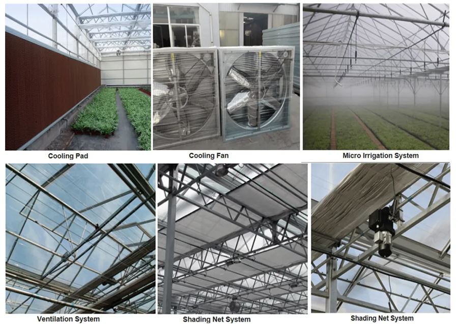 china shade house greenhouse china shade house greenhouse
