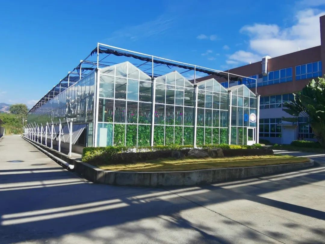 Main parameters of glass greenhouse Main parameters of glass greenhouse
