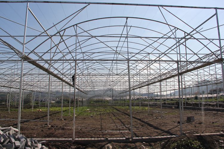 Greenhouses Structure