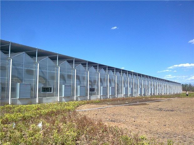 How to adjust the light environment in a solar greenhouse How to adjust the light environment in a solar greenhouse