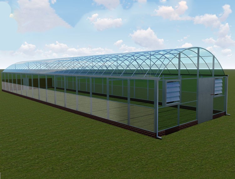 greenhouse project greenhouse project