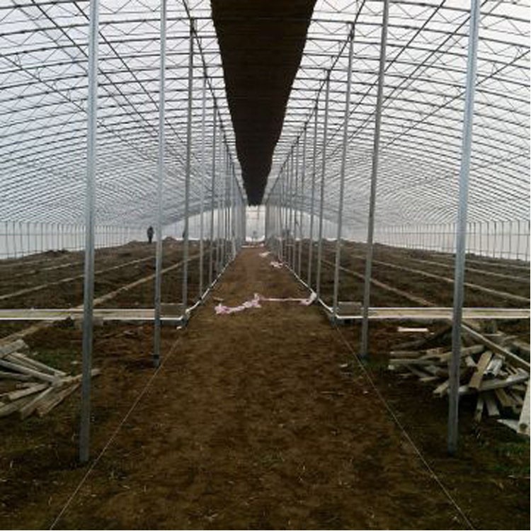 Greenhouse engineering structure features Greenhouse engineering structure features