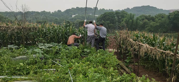 Smart Greenhouse Smart Greenhouse