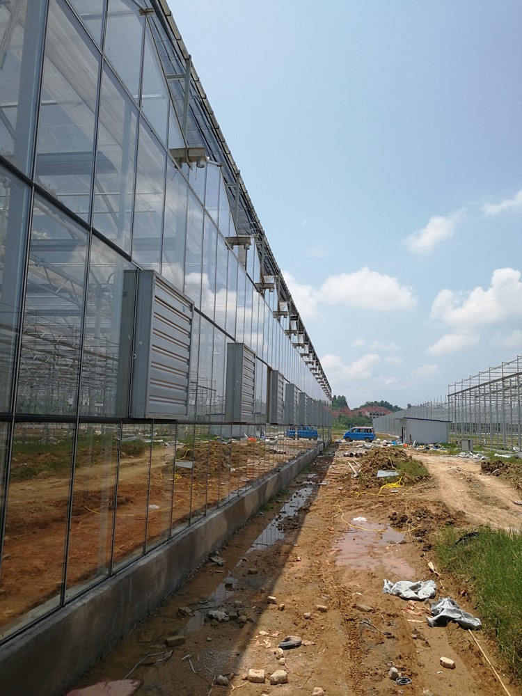 Greenhouses can be upgraded and developed in the following seven forms Greenhouses can be upgraded and developed in the following seven forms