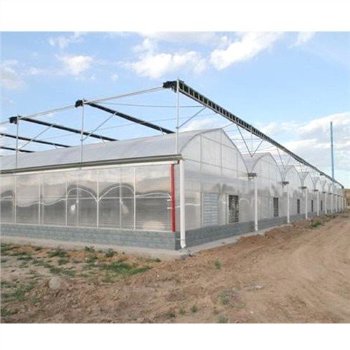 200 mikron plastik issiqxona