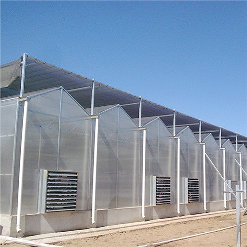 4 mm issiqxonaning shaxsiy sahifalari