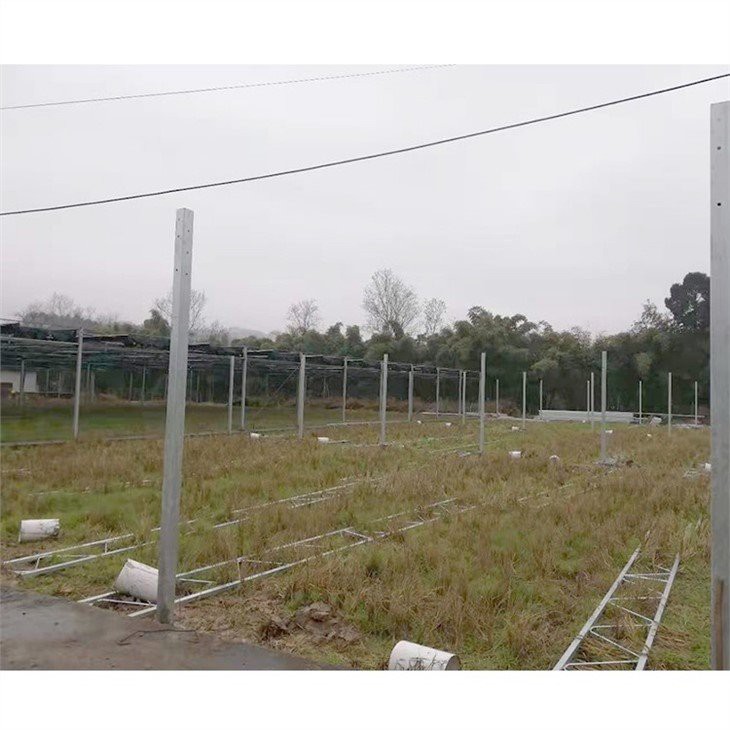 thick plastic for greenhouse supplier